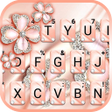 プログラムのアイコン：Coral Luxury Clover Theme