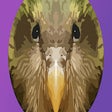 Icon of program: Kakapo for Chrome
