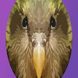 Kakapo for Chrome