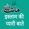 Icon of program: इसलम क पयर बत