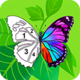 Colorful Paint-Paint by Number icon