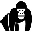 Programikonen: MockApe