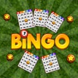 Ikona programu: Bingo Revealer