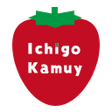 Ikon program: Kamuy Console