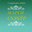 程序图标：Марги Судхур