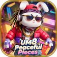 Symbol des Programms: UM8Peaceful Pieces
