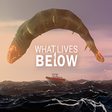 Ícone do programa: What Lives Below
