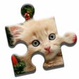 Ikon program: Lovely Kittens Puzzle