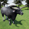 程序图标:Kouprey Cow Simulator