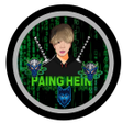 程序图标：PPH FAST VPN PRO