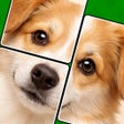 Programikonen: Jigmagic Solitaire - Puzz…