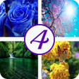 Icono de programa: 4 фото 1 слово