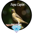 Ikona programu: Canto Fêmea de Papa Capim