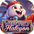 程序图标：VIP757Halcyon