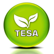 程序图标：Actiontesa