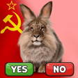 Programikonen: Cheremsha USSR Idle