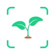 AI Plant Identifier.