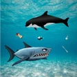 プログラムのアイコン：Marine Debris : Rescue
