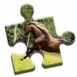 程序图标：Majestic Horses Puzzle