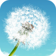 Biểu tượng của chương trình: Quote of the Day