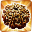 أيقونة البرنامج: Rudraksha