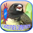 Ícone do programa: Canto de papa capim vivit…
