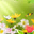 程序图标：Summer Charm Screensaver