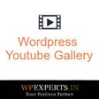 プログラムのアイコン：WP Youtube Gallery