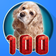 プログラムのアイコン：100 Animal sounds & pictu…