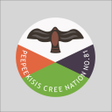 Icon of program: Peepeekisis Cree Nation
