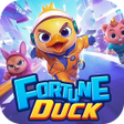 Ikon program: Fortune Duck Adventure
