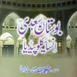 Hakayat-e-Sheikh Saadi  In Urdu || Saai Ke Qaqiaat