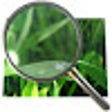 Icon of program: Image Pop Up Zoom