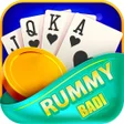 程序图标：rummy home