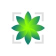 أيقونة البرنامج: Plant Identifier: by Pict…