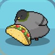 프로그램 아이콘: raising pigeons