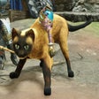 Icon of program: Cats as Palamutes Sunbrea…