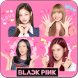 程序图标：Blackpink Song