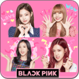 Ikon program: Blackpink Song