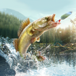 Ikona programu: Professional Fishing 2