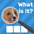 程序图标：Zoom Quiz Game: Guess The…