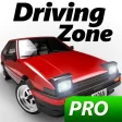 Driving Zone: Japan Pro
