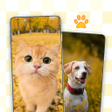 Icono de programa: Animal Wallpaper