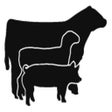 Ícone do programa: Livestock Judging Score C…