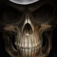 程序图标：Skulls Live Wallpaper