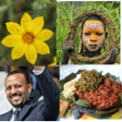 أيقونة البرنامج: Ethiopian game የኢትዮጵያውያን …