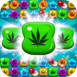 ไอคอนของโปรแกรม: Crush Weed Match 3 Candy …