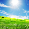 Icon of program: Nature Wallpaper