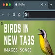 BirdTab - Discover Bird Pictures & Songs in New Tabs