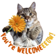 Icon of program: WASticker - Cat Stickers